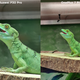 Imagen para el artículo titulado Hemos puesto a un inútil a sacar fotos con el Huawei P30 Pro, el OnePlus 7 Pro y el Pixel 3a. Este es el resultado
